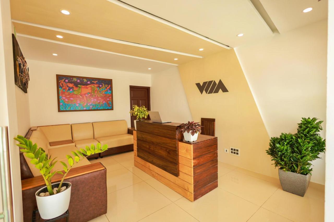 Chinnakanal The Windy Mist Resort Munnar מראה חיצוני תמונה